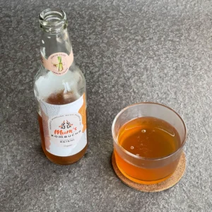 Reishi Mushroom Probiotic Kombucha